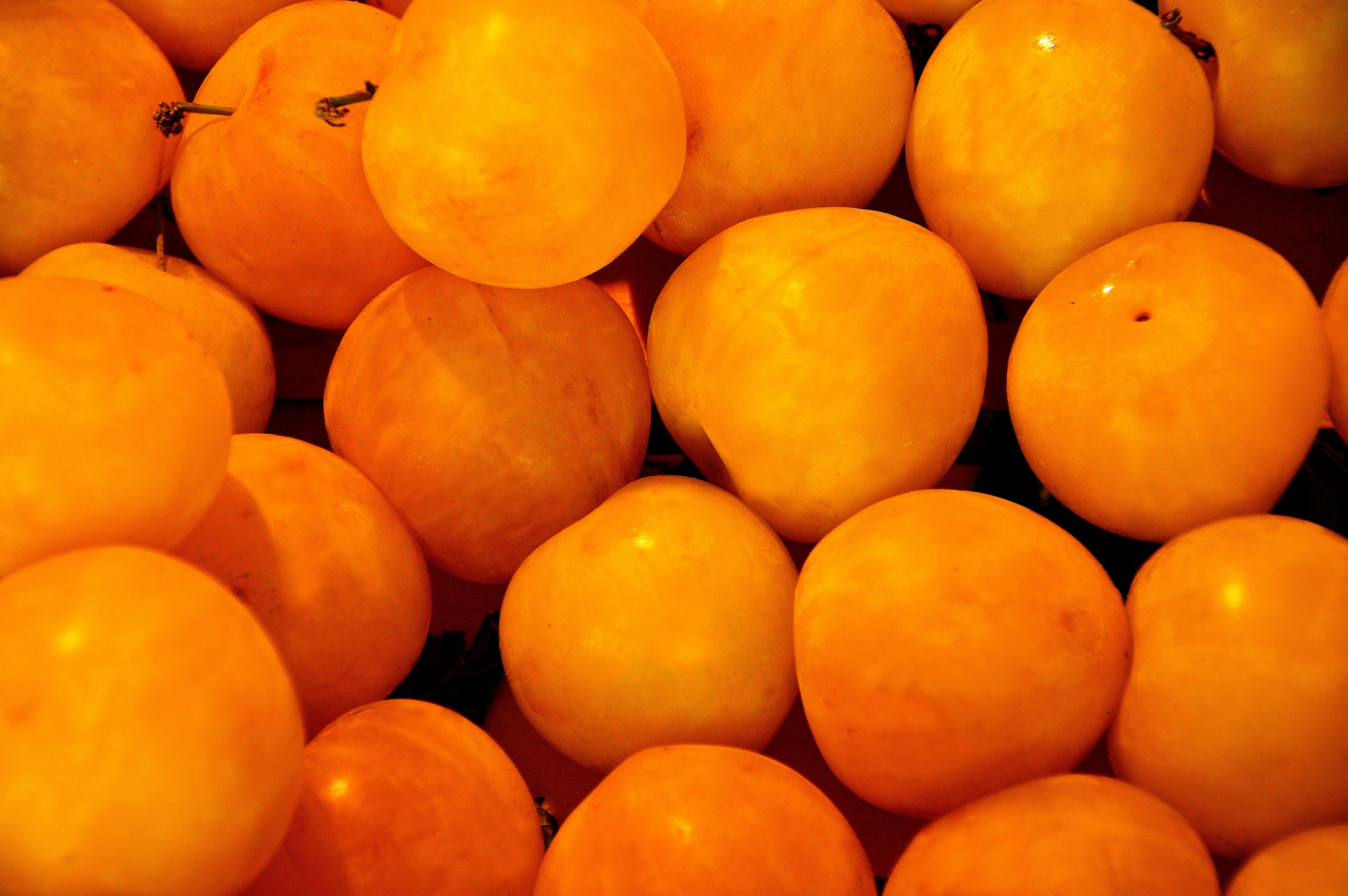 Ponthier MIRABELLEN PÜREE Zwetschge-Frucht-Püree 6x 1KG 