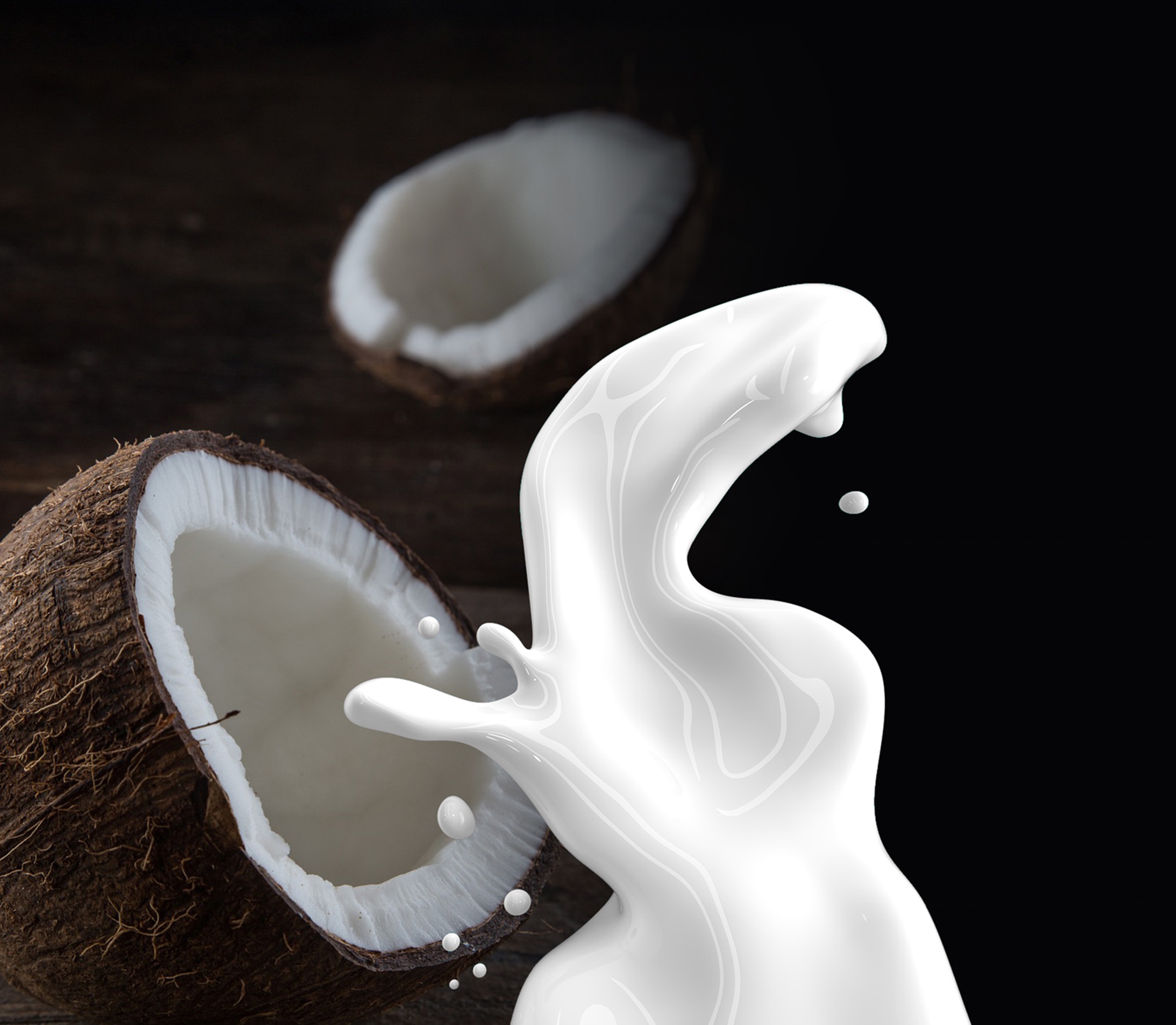 Ponthier KOKOSNUSS PÜREE Nüsse-Püree 6x 1KG 
