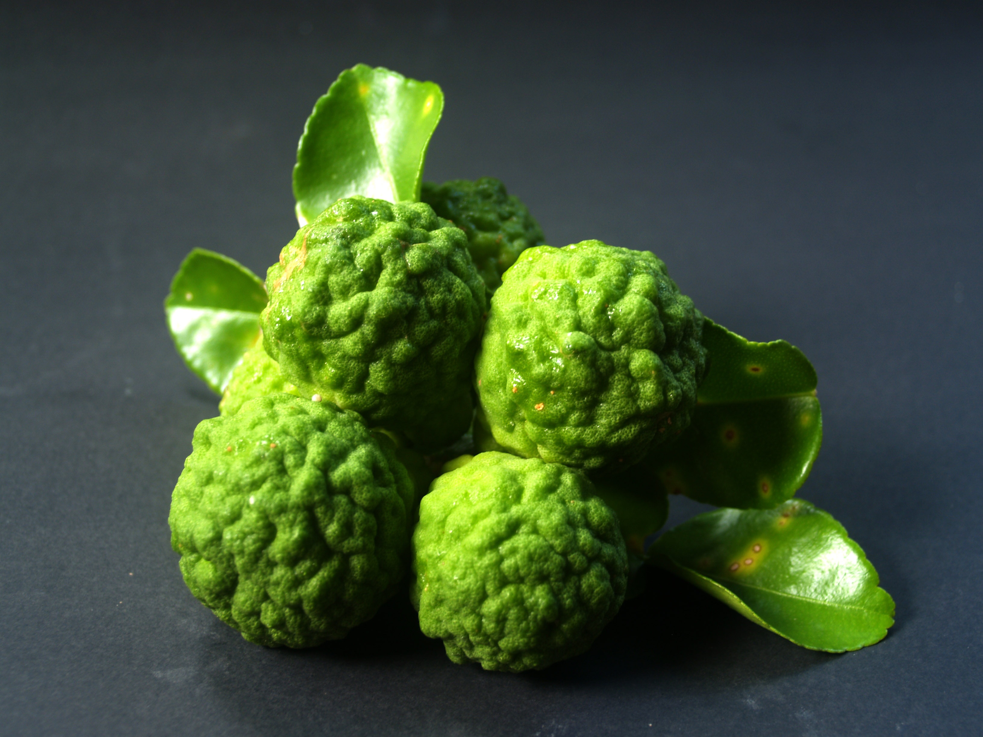 Ponthier BERGAMOTTEN PÜREE Zitrus-Frucht-Püree 6x 1KG
