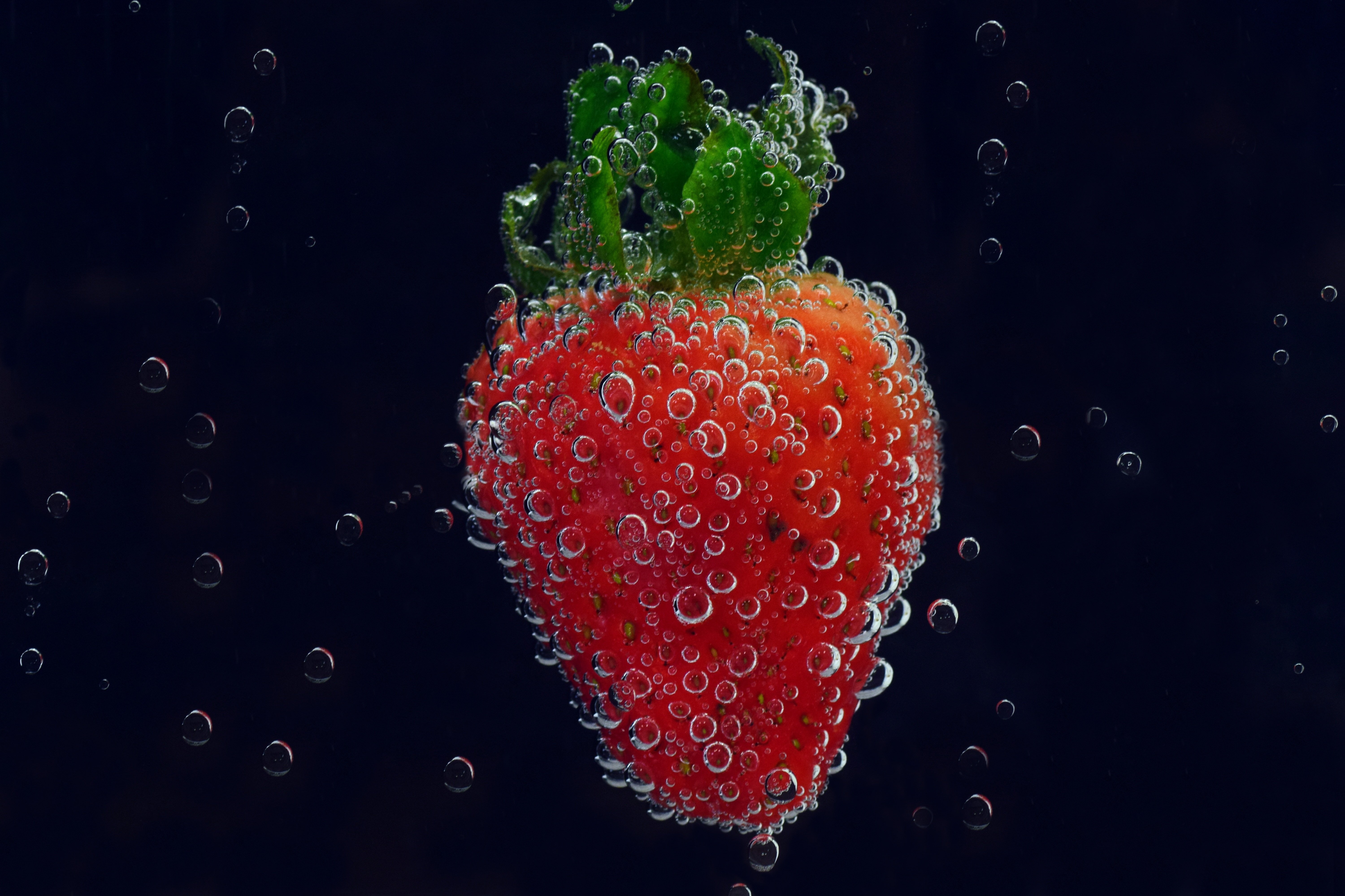 Ponthier ERDBEEREN PÜREE Camarossa-Mara-des-Bois-Beeren 6x 1KG