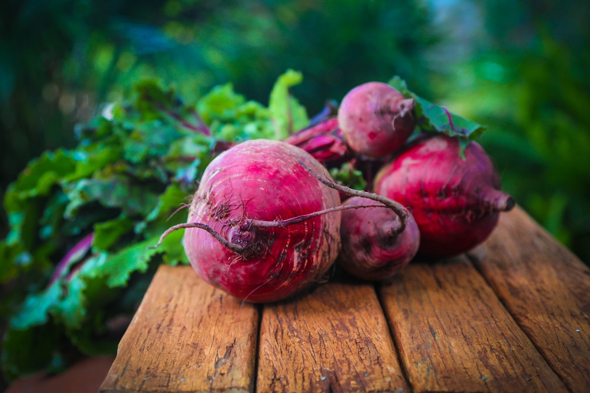 Ponthier ROTE BETE Gemüse-Püree 1KG 6er