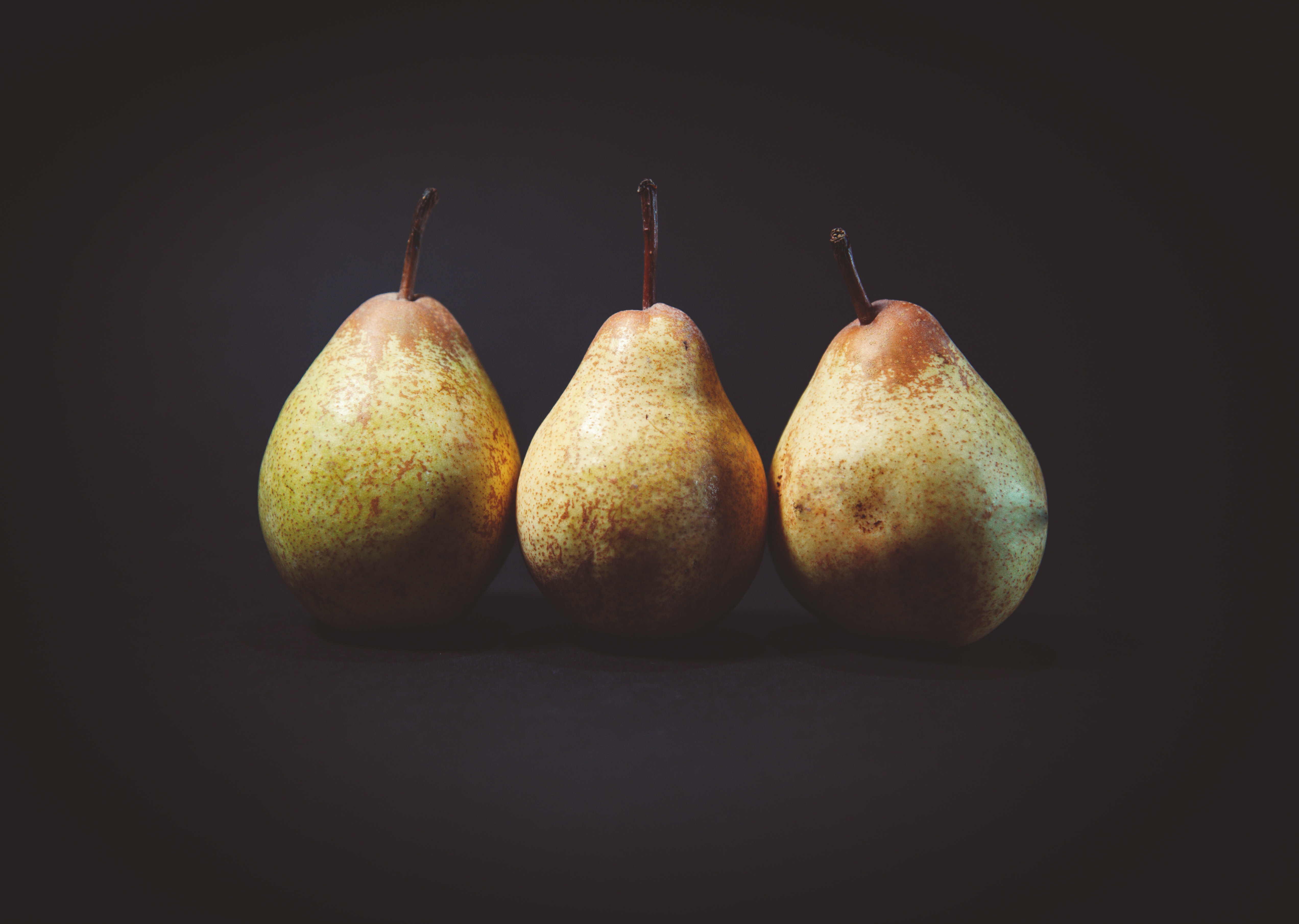 Ponthier BIRNEN PÜREE Frucht-Püree 6x 1KG höchste Qualität