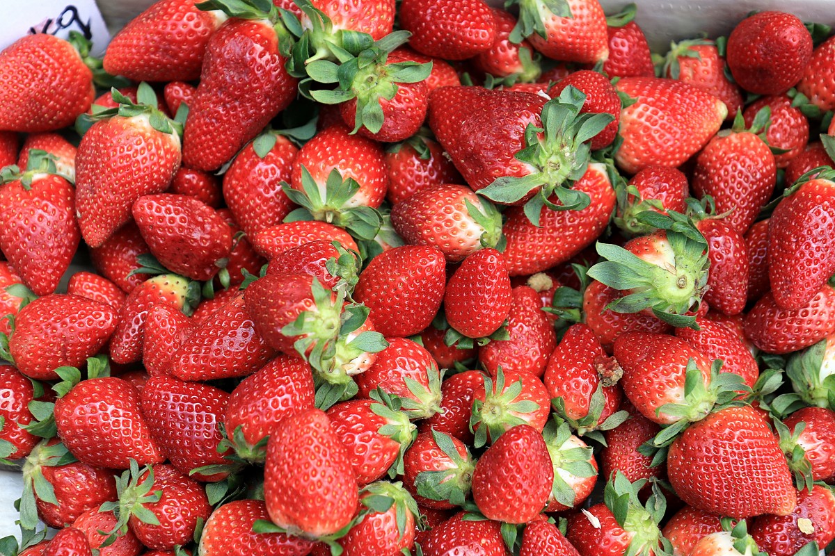 Ponthier ROTE FRÜCHTE PÜREE Frucht-Mark-Püree 6x 1 Kg 