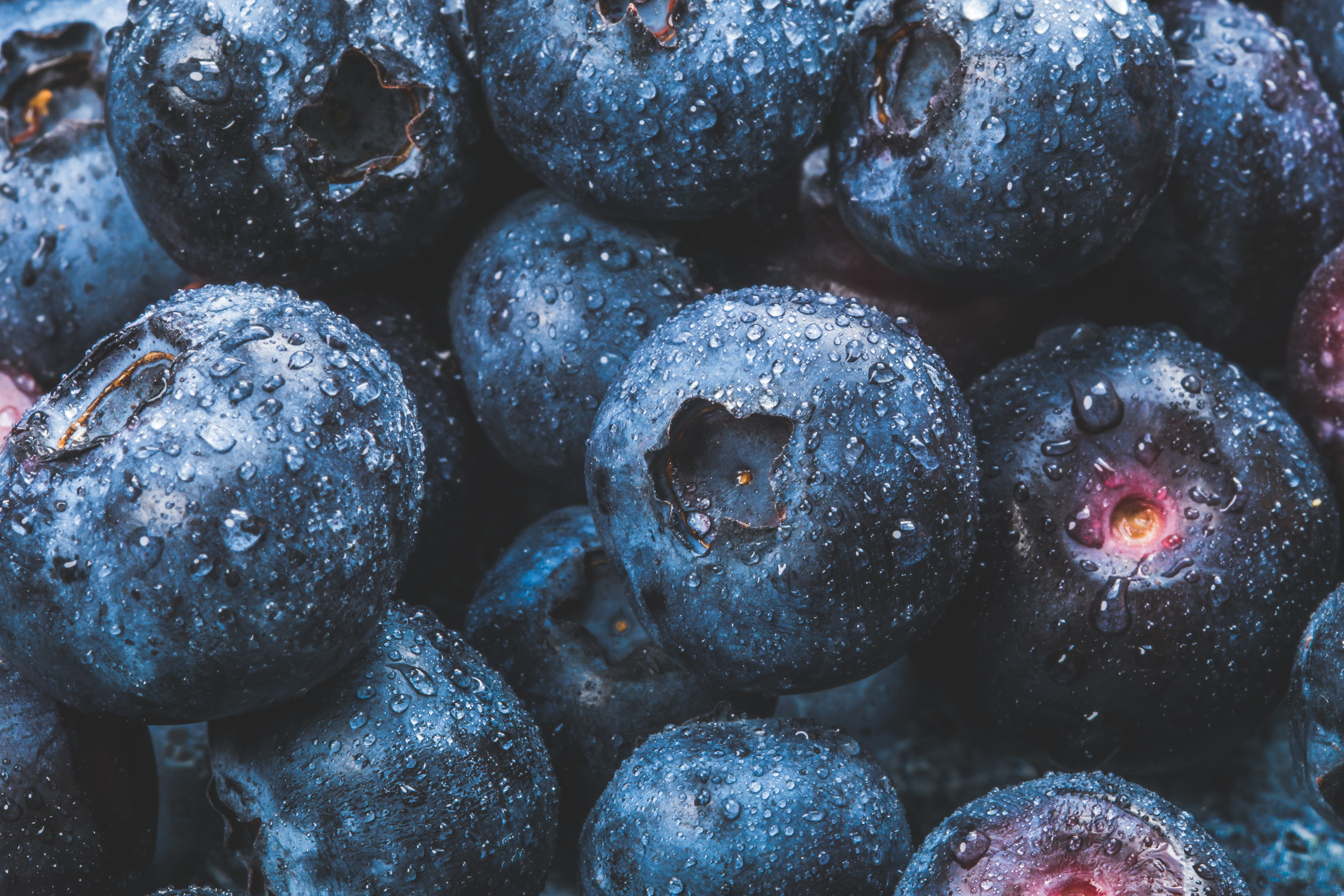 Ponthier HEIDELBEEREN PÜREE Frucht-Püree 6x 1KG