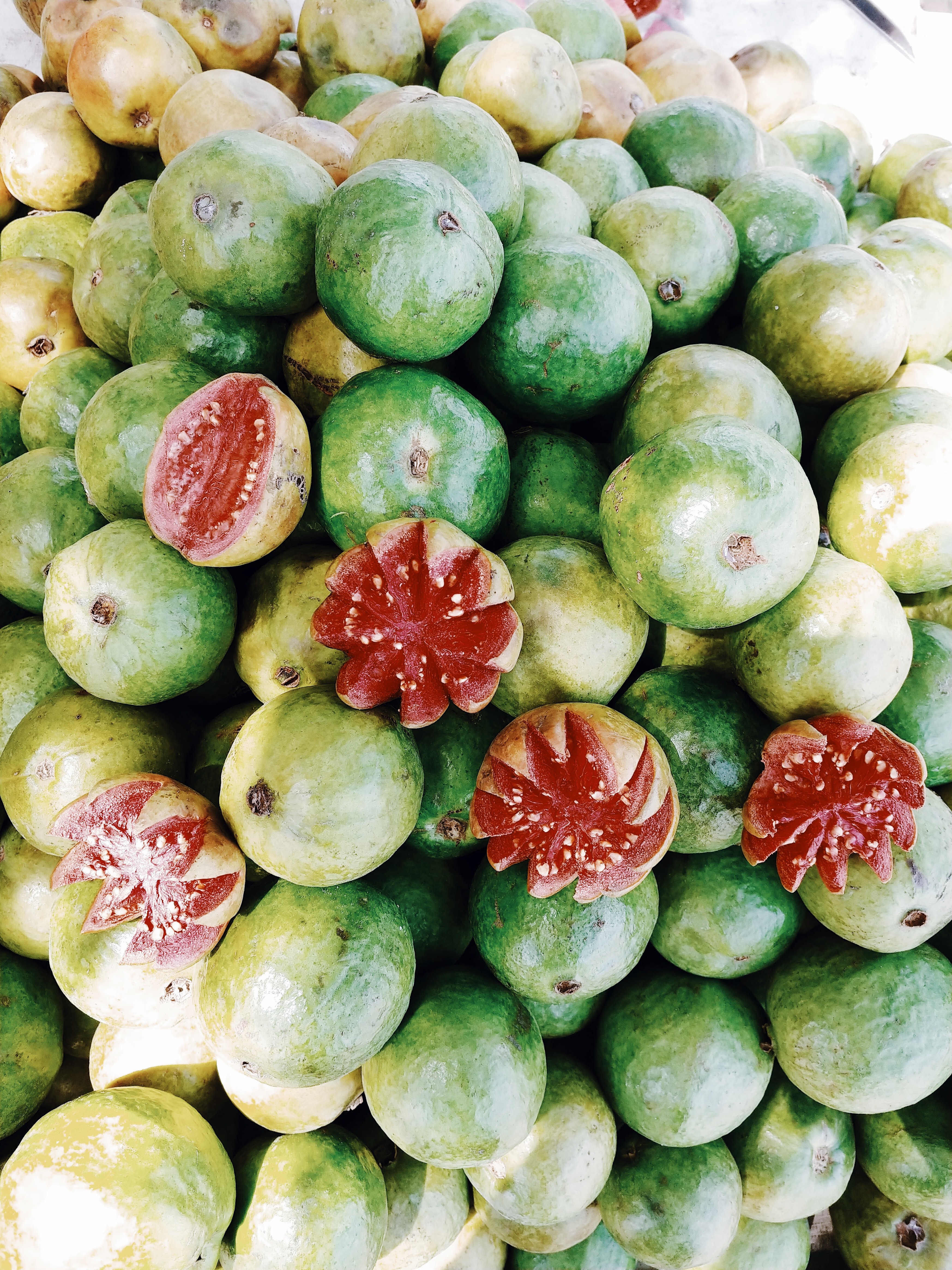 Ponthier GUAVE PÜREE Zitrus-Frucht-Püree 6x 1KG 