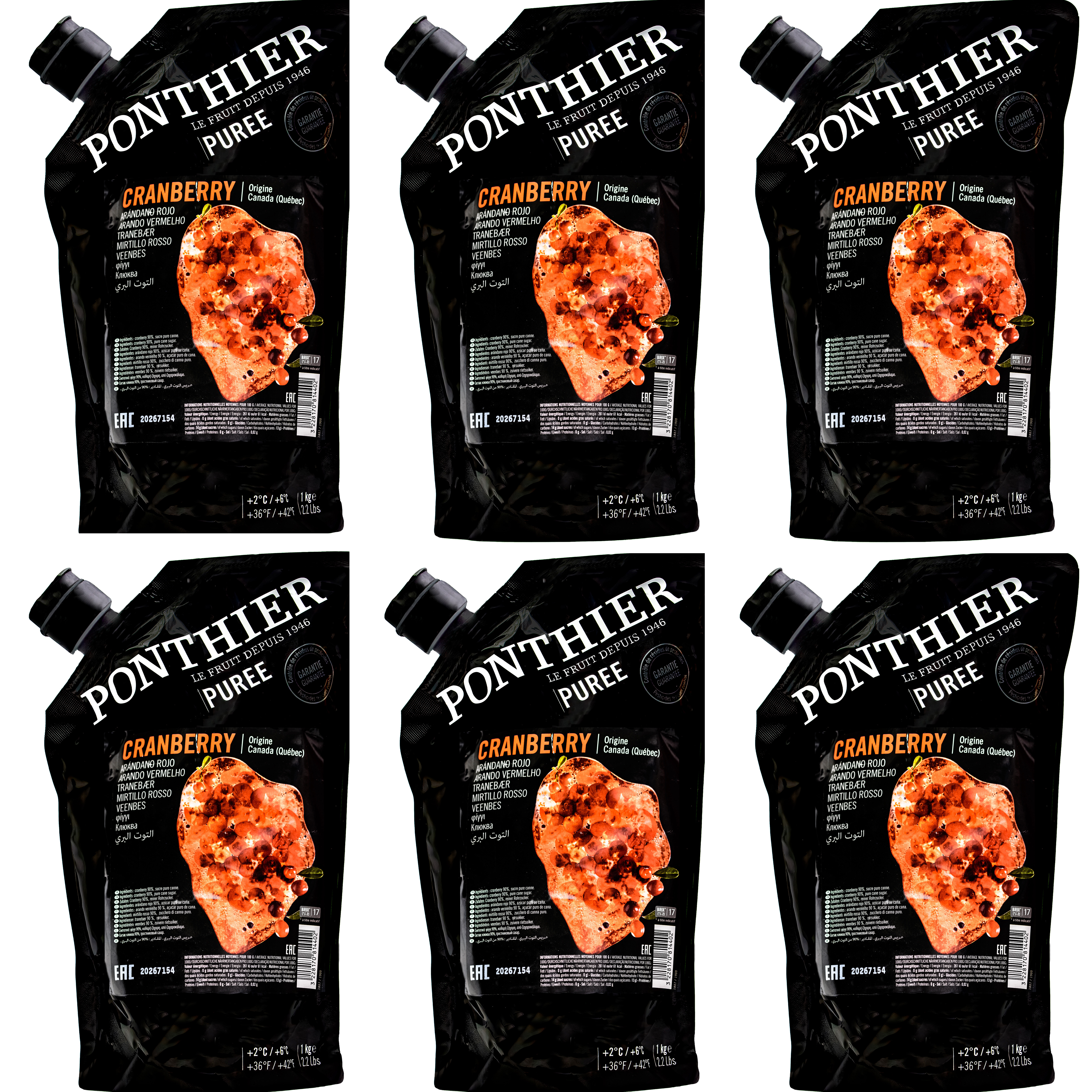 Ponthier CRANBERRY PÜREE Moos-Beeren-Frucht-Püree 6x 1KG